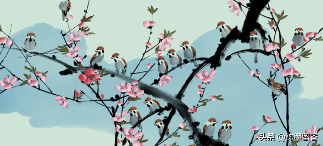 中国人为什么喜欢用“晓”取名?你“晓”得不?“晓”字大学问