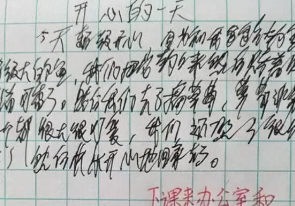 小学生罚写罗字的新闻,小学生罚抄100遍名字