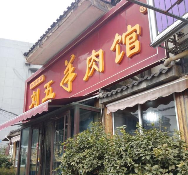 徐州小伙卖羊头,农村大叔50头羊一年利润