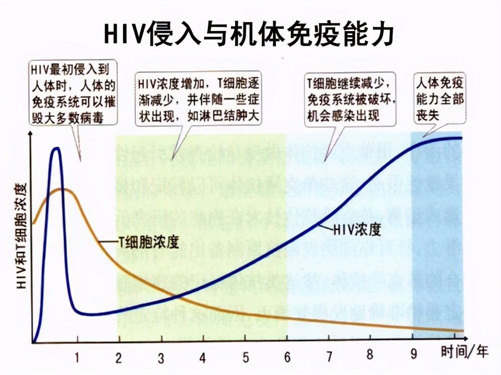 免疫力低下老是感冒吃什么药,老人经常感冒提高免疫力的维生素