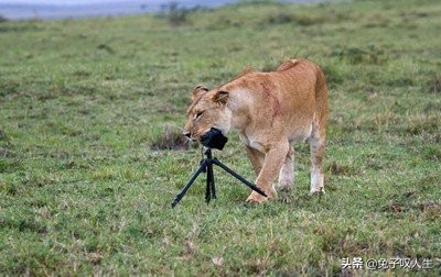 刚上班同事问家庭情况要说吗,入职被问家里情况
