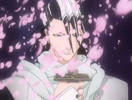 银的斩魄刀和乱菊的斩魄刀,死神斩魄刀有几种