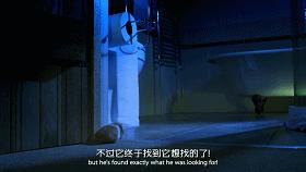 9.1分的大片，揭示了萌宠们的世界