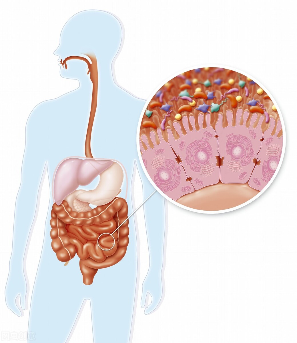 便秘与腹泻交替大便恶臭怎样治,大便粘腻排出不畅用什么中成药