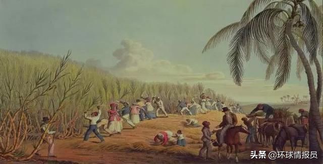 圭亚那：南美洲唯一的英语国家，第一大族裔为什么却是印度裔？