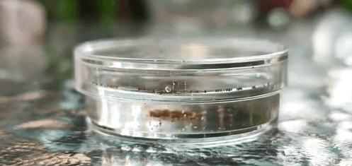 提高宝宝运动能力的玩具推荐,适合儿童的启蒙玩具