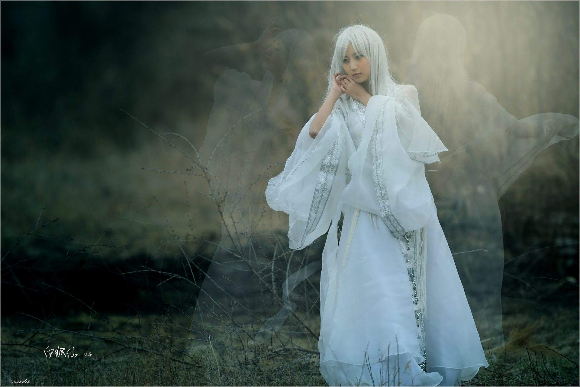 聊斋志异阿绣最后结局,聊斋志异刘子固和阿秀