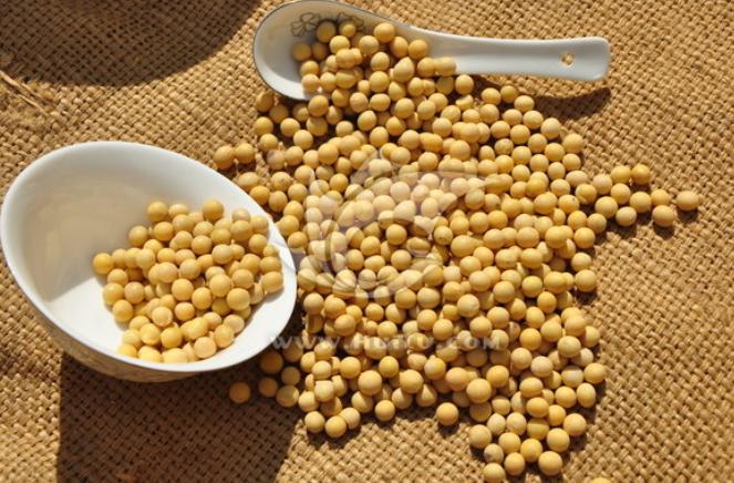 头发发质太差怎么办,发质不好妙招教你养出好头发