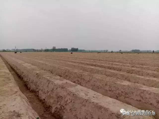 曹县十大强镇,曹县全国百强镇