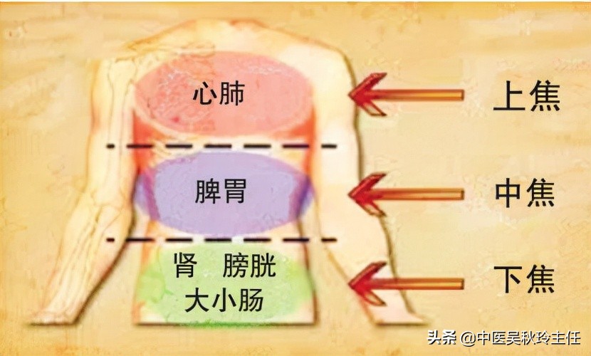 血瘀引起的前列腺增生可以治好吗,血瘀型前列腺吃什么药