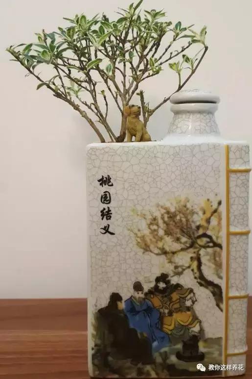 切割陶瓷酒瓶做花盆最简单的方法,没有工具怎么把陶瓷酒瓶弄成花盆