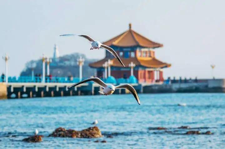 跟厦门一样浪漫的城市,厦门一个文艺又浪漫的城市