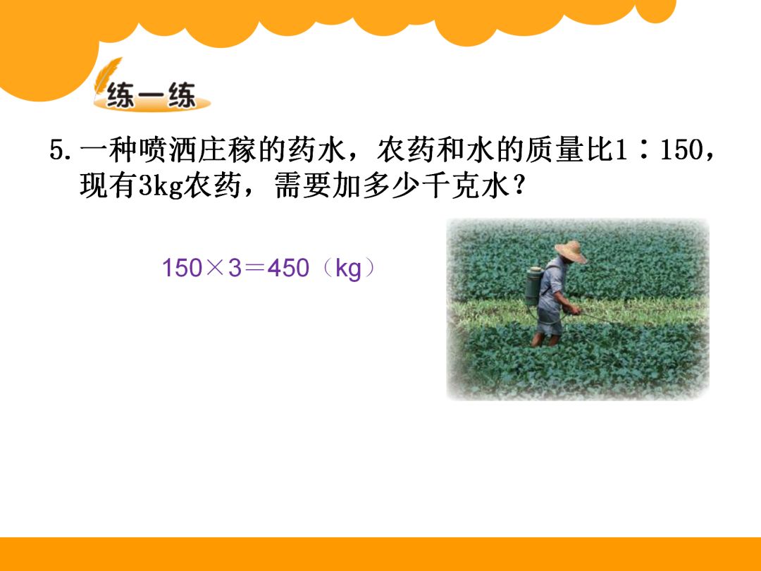 六年级上册数学第六单元比的认识,六年级下册数学第六单元数的认识