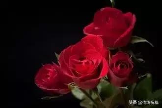 520祝福语表达爱意句句温馨美好,520祝福语送给最在乎的人