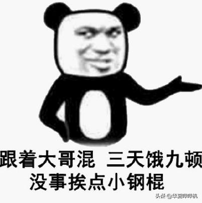 韩安冉：从打爹骂娘到网红富婆，她一出出的荒诞闹剧何时休？