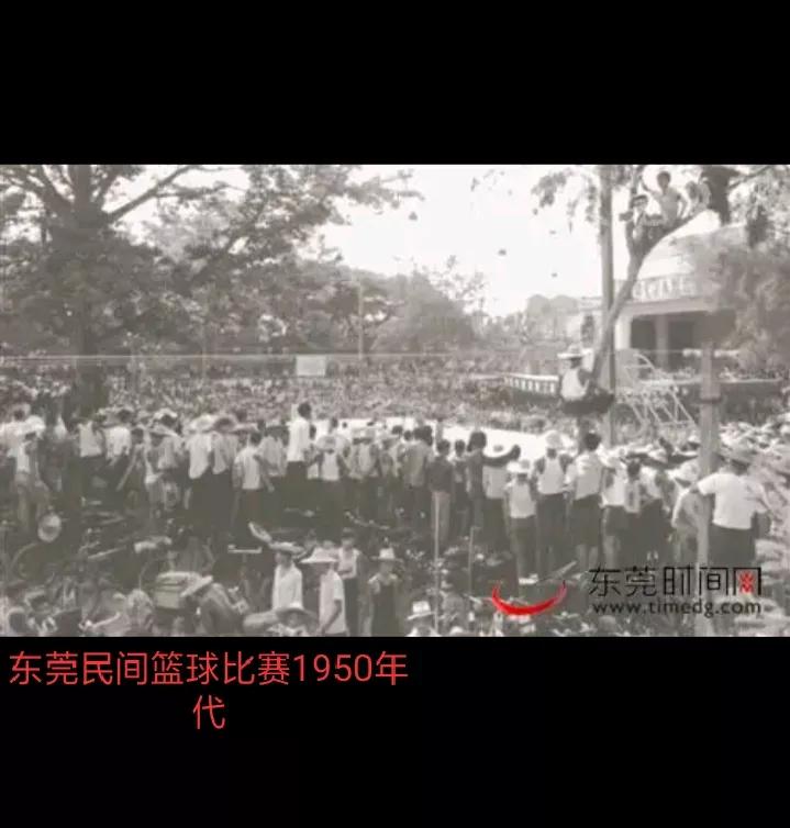 CBA十一冠王——广东宏远华南虎队传奇的组队起家始末