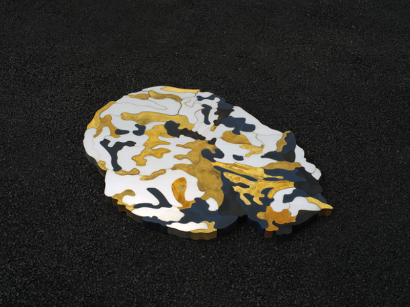 VANSx赵赵！这对CP锁了