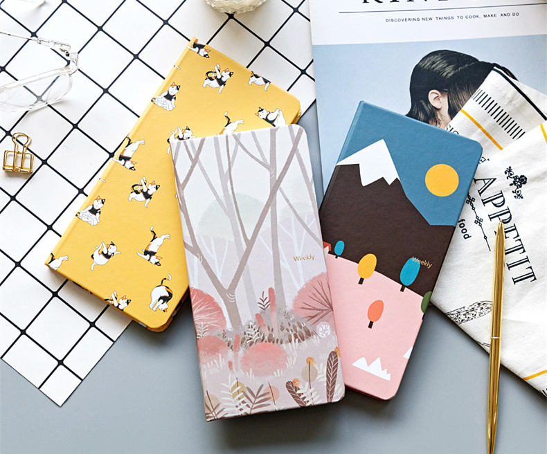 什么东西都没有怎么做手帐,如果只有100块钱你会做什么