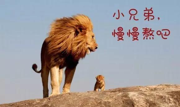 销售的最高境界掌握三大魔鬼法则,顶级销冠的6种销售话术绝招