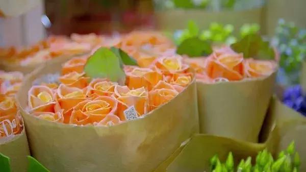 世界最大鲜花市场的销售全过程,全球最大的鲜花交易市场排名第一