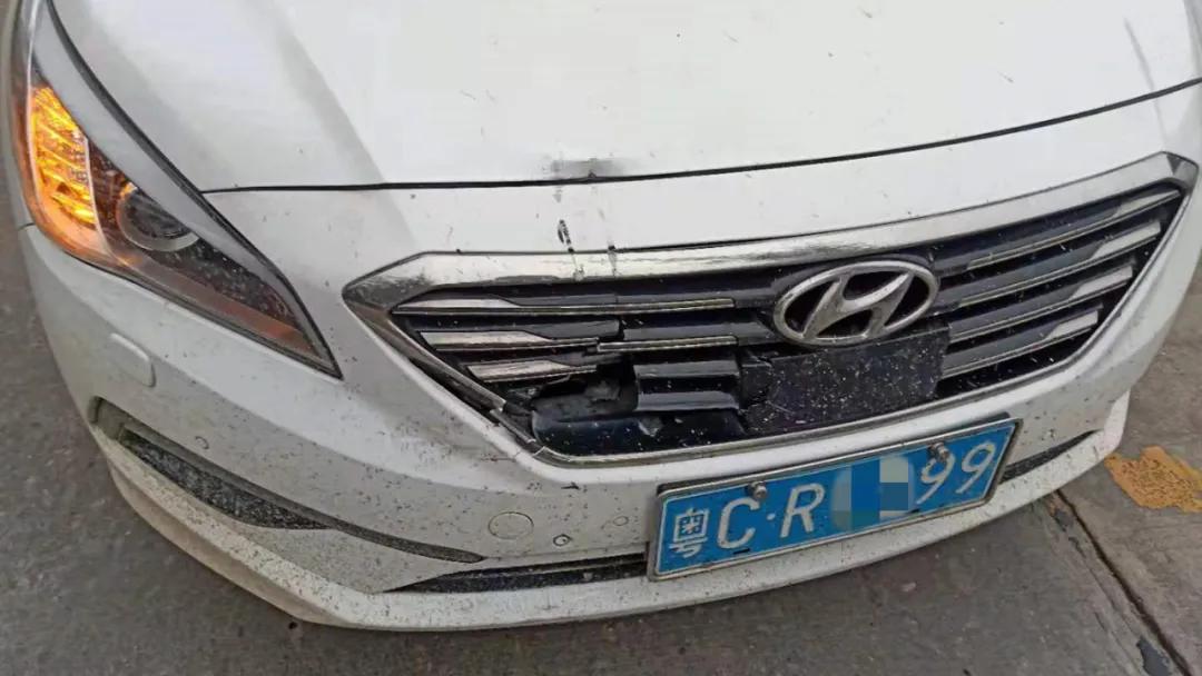 往前开，往鱼塘开！8年驾龄老司机的“翻车”过程