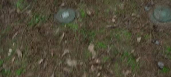 推荐两部生猛的办公室大逃杀电影,最火爆的大逃杀电影