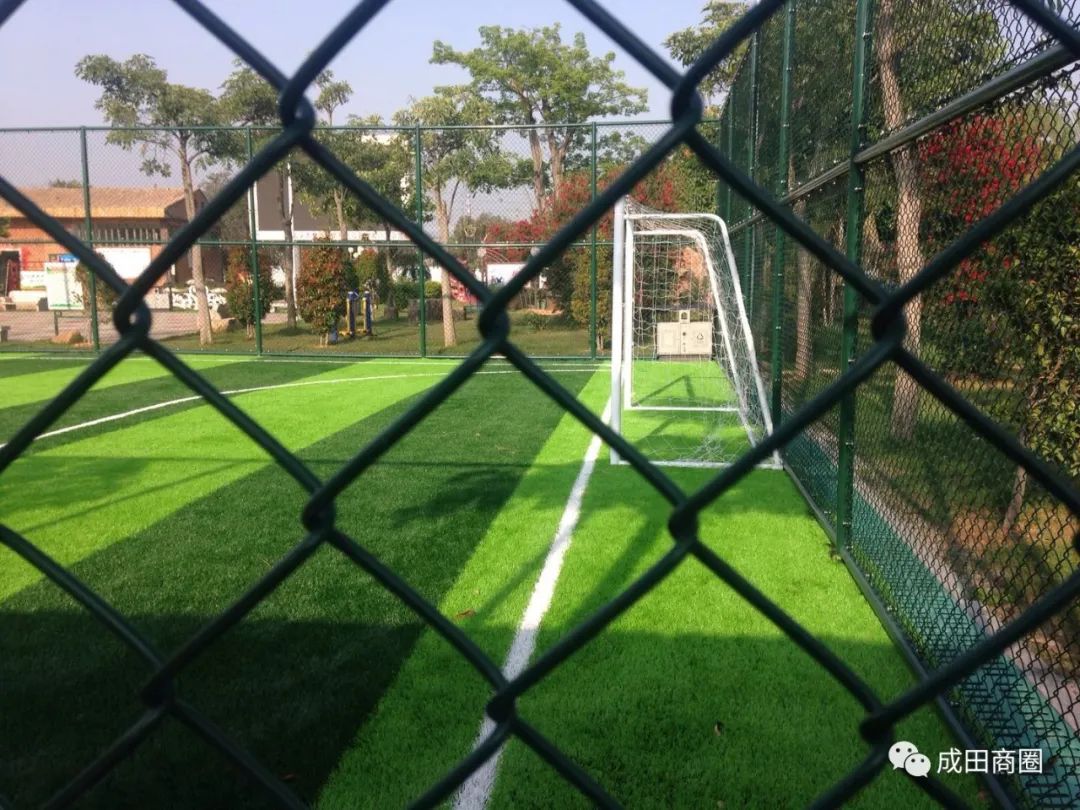 成田文体公园国庆,成田镇文体公园