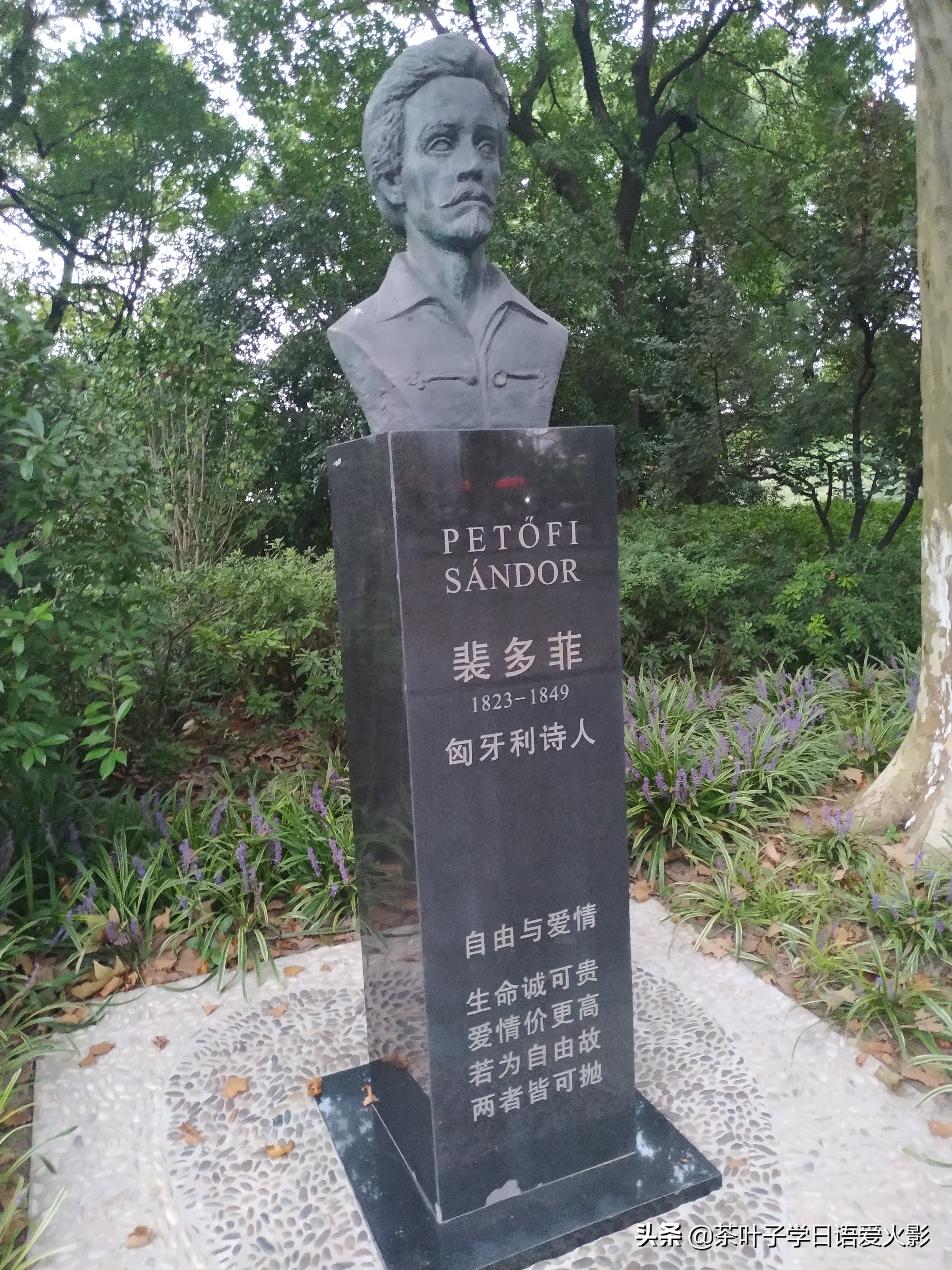 上海甜爱路，打卡不要错过哦，还有鲁迅公园