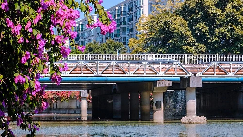 西乡好去处,深圳一个来了就不想走的地方