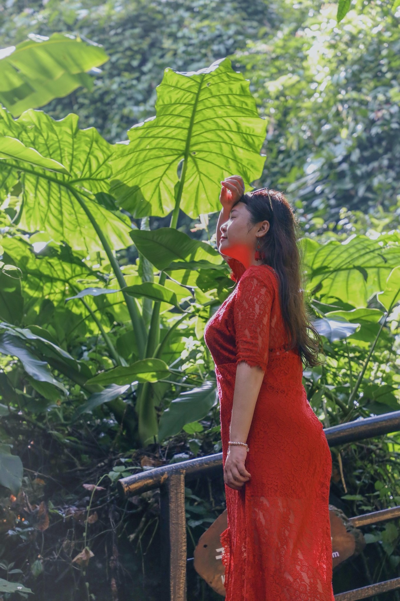 呀诺达雨林探险是什么,三亚呀诺达雨林正规吗