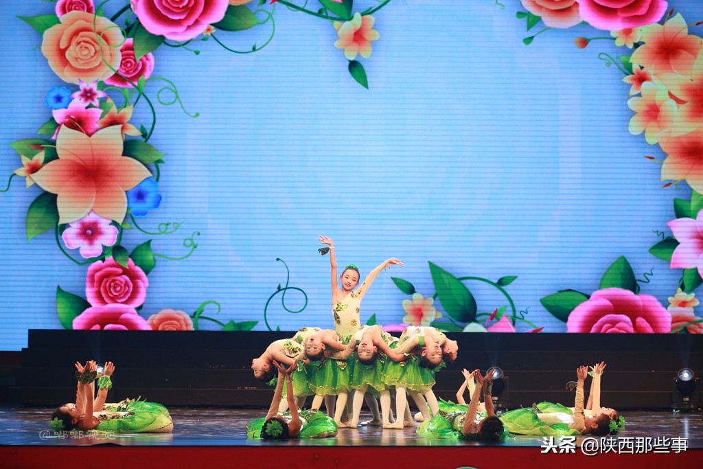 小天鹅艺术团童心向党,陕西省小天鹅艺术团点亮中国梦
