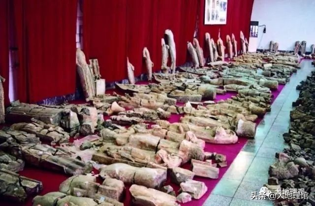 看济宁40年城市变迁,看城市30年变化