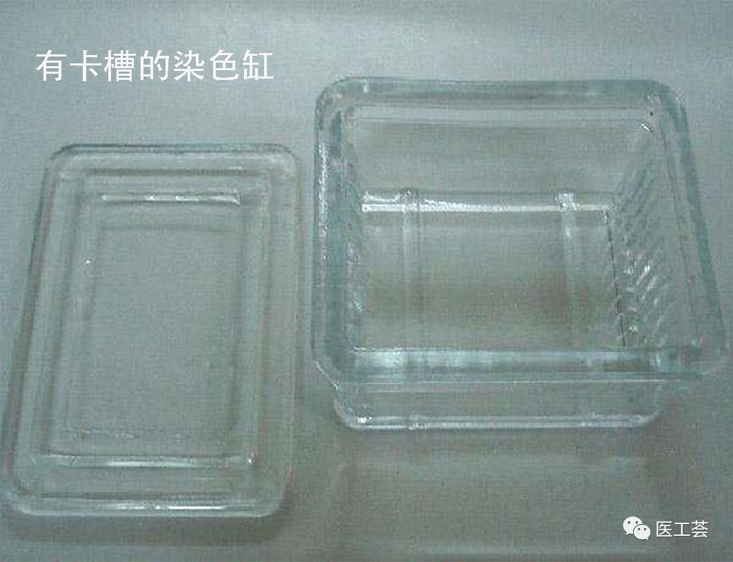 全套生物医学实验技术,免疫组化染色实验结果分析