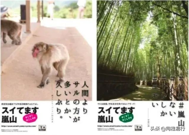 中国人宅在家里的日子，全世界：快快快撑不住了