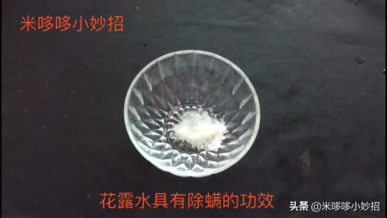 白衣服被洗衣机越洗越脏怎么处理,洗衣机里倒一杯水多脏的衣服