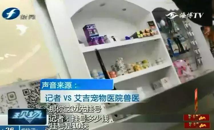 鍝瀹犵墿鍖婚櫌姝ｈ涓嶄贡鏀惰垂,鏇濆厜瀹犵墿琛屼笟榛戝箷