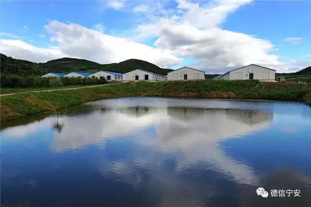 农业农村部、财政部公布！宁安成为首批20个国家现代农业产业园之一