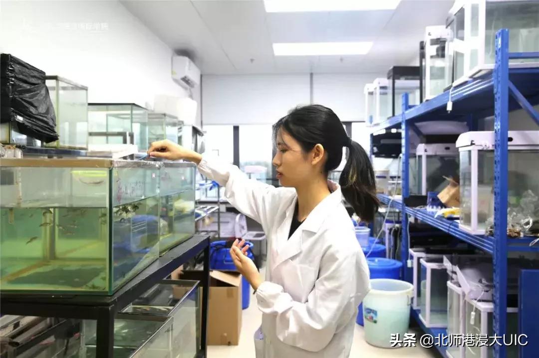 报告！暑假有UICer留校养鱼、看海