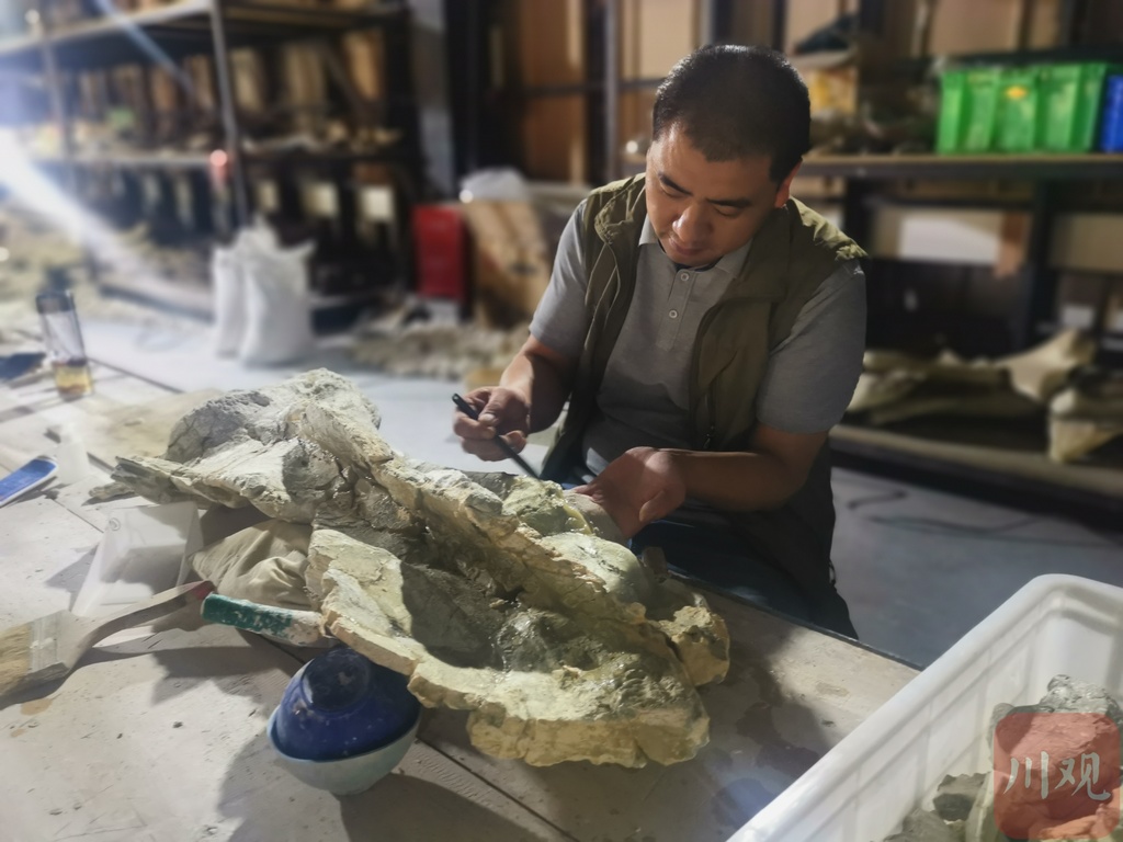 参观恐龙化石博物馆意义,上海有恐龙化石的博物馆是哪个