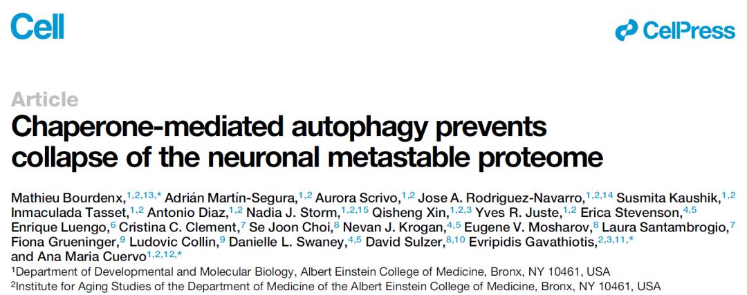 治疗阿尔茨海默病最新研究,目前抗脑衰的研究成果