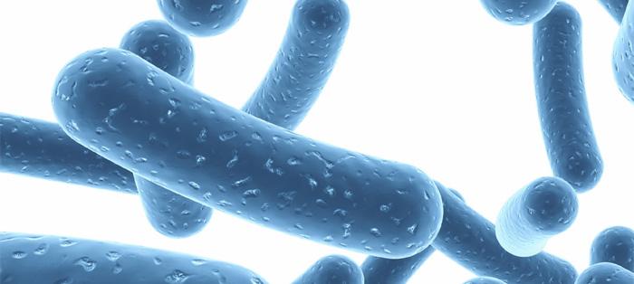 宝宝益生菌的正确食用方法吃几天,宝宝益生菌到底该怎么吃