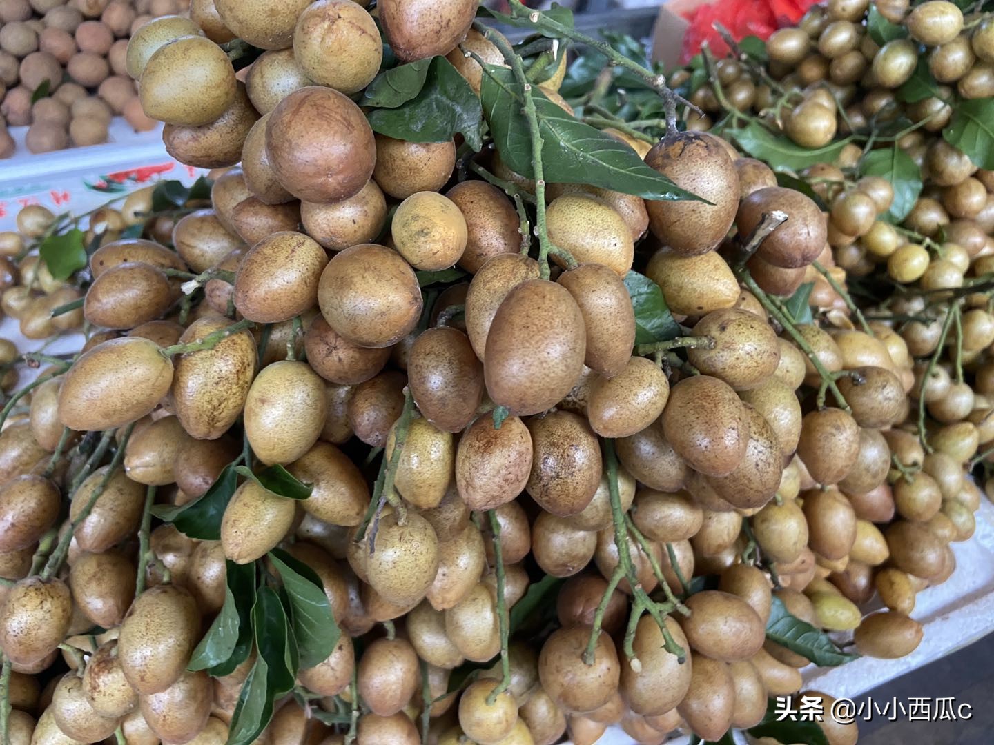 海南最大水果批发集散地,海口晚上水果批发市场哪个最便宜