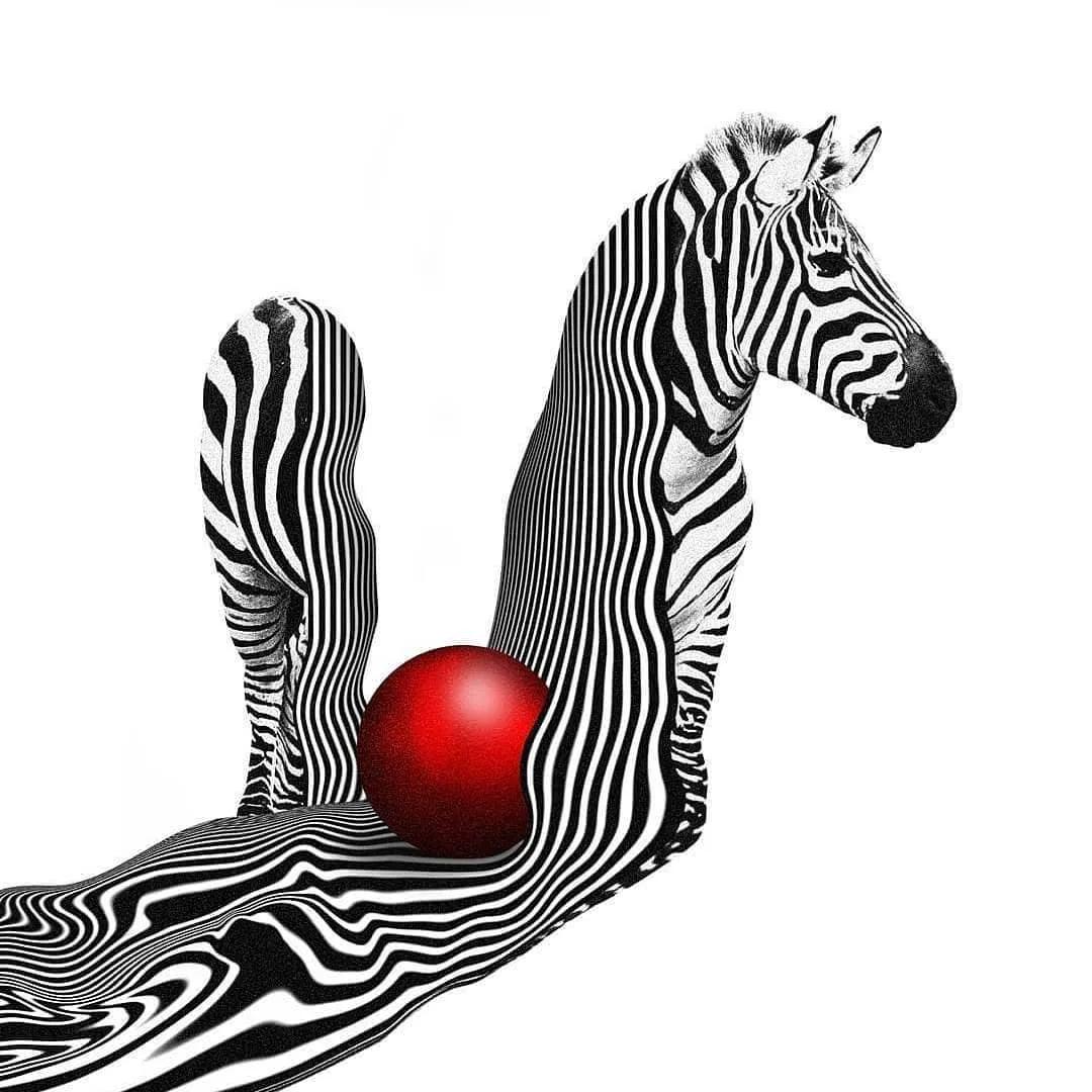 最新ps大师优秀作品欣赏,ps设计经典之作