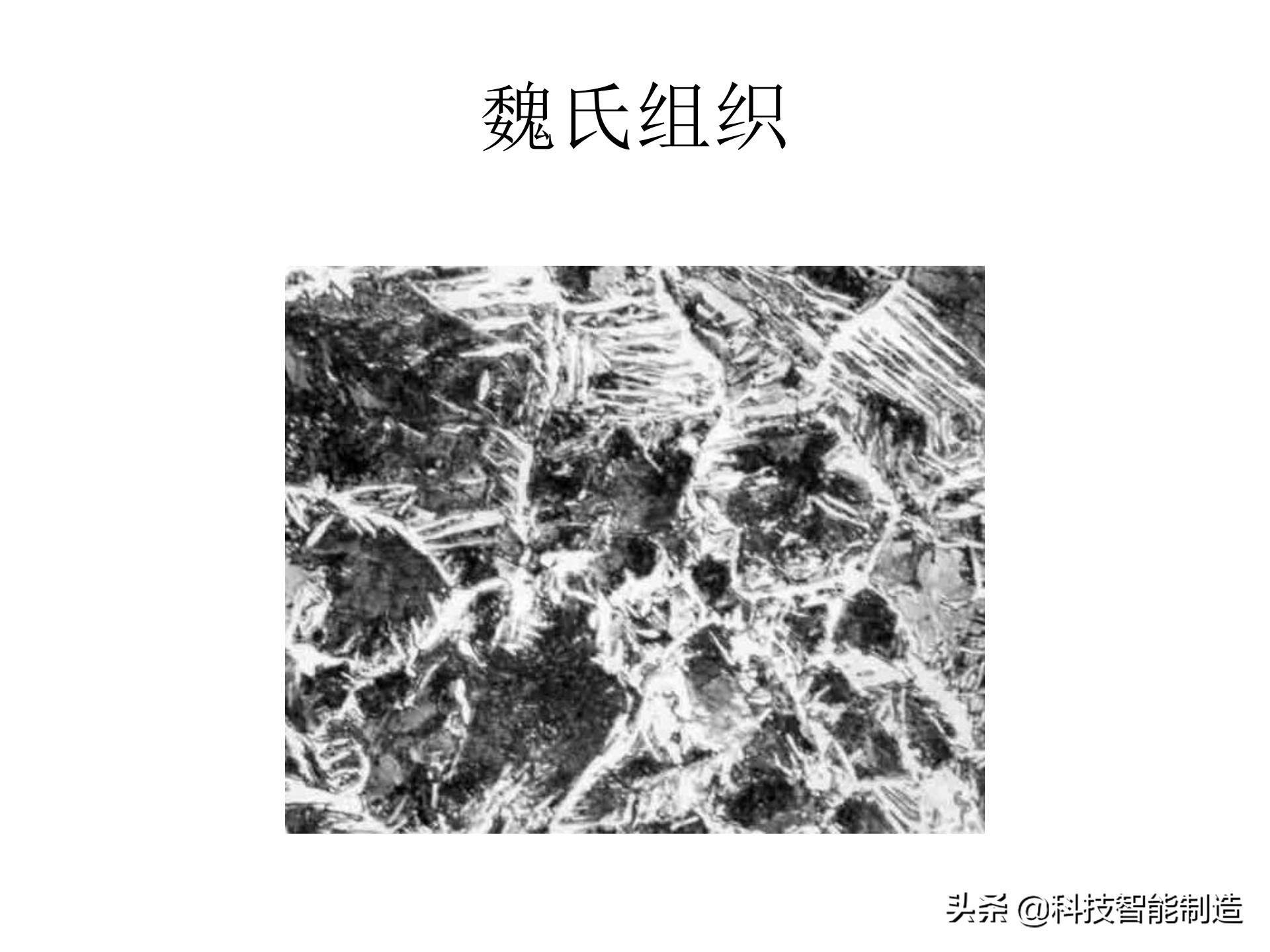 金属材料基础知识，金相组织如何看，金相组织告诉我们什么？