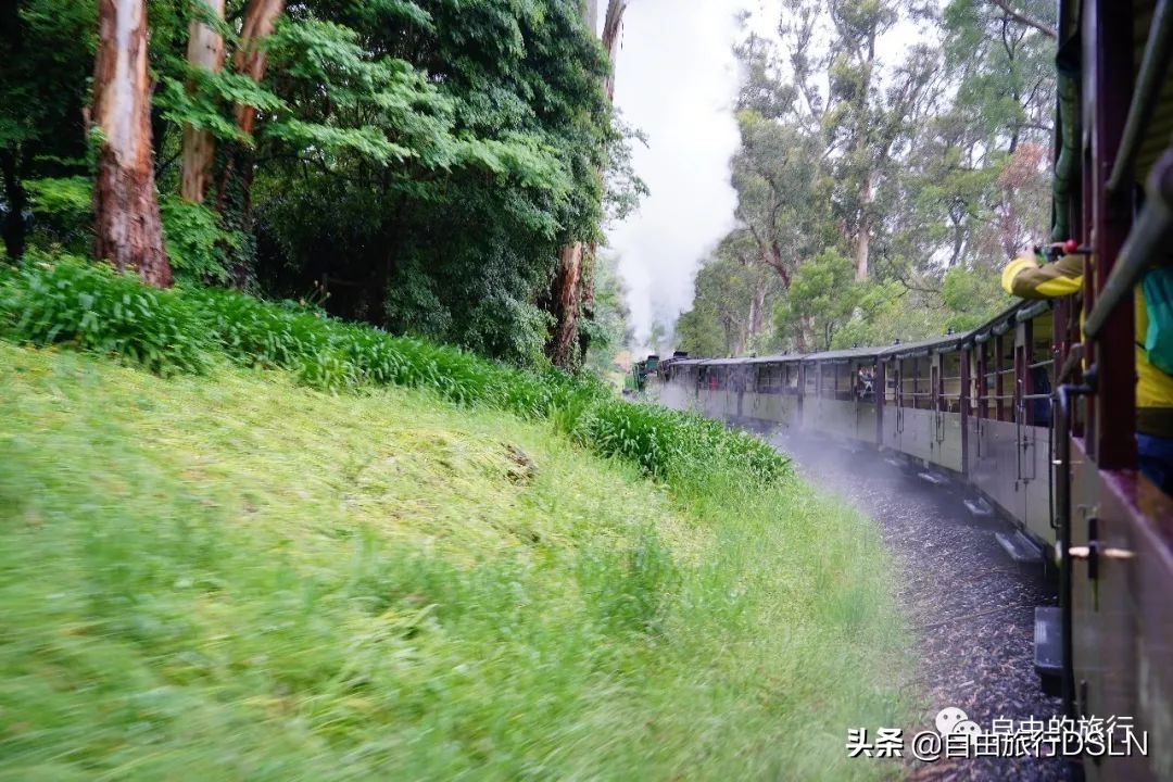 土澳,土澳新闻视频