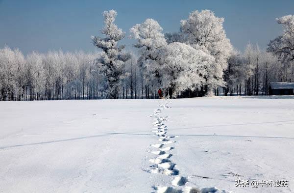 「说谍」突破伪满的‘钢铁国防线’的*共中**情报战线领导人钟子云
