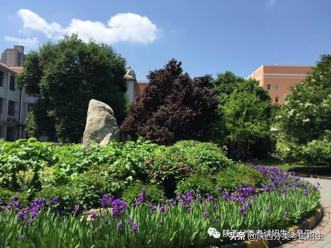 铁路职业技术学院西安市,西安铁路职业技术学院热门专业