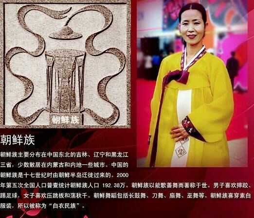 中国五十六个民族的服饰,56民族图腾图