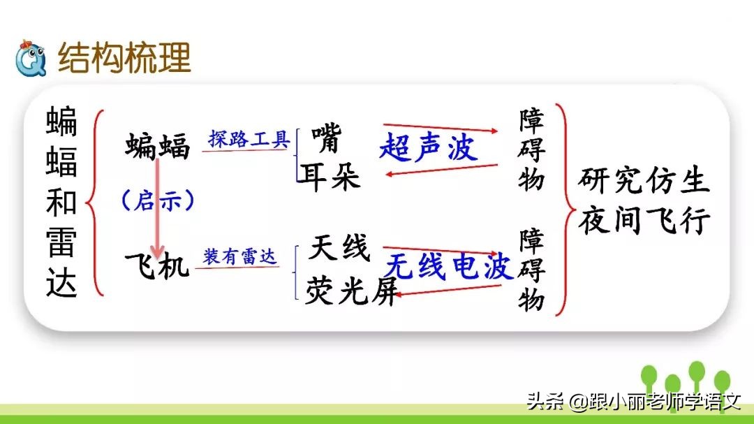 语文思维导图四年级上蝙蝠和雷达,人教版四年级上册蝙蝠和雷达朗读