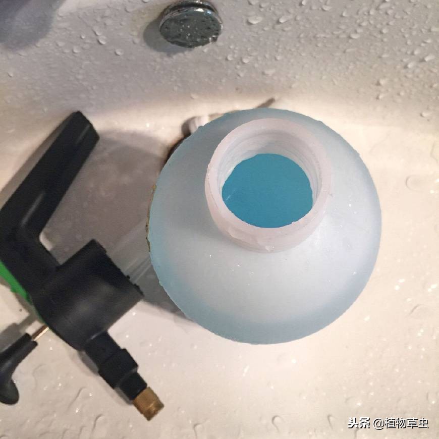 水养植物液体营养液,最厉害的养花营养液是什么